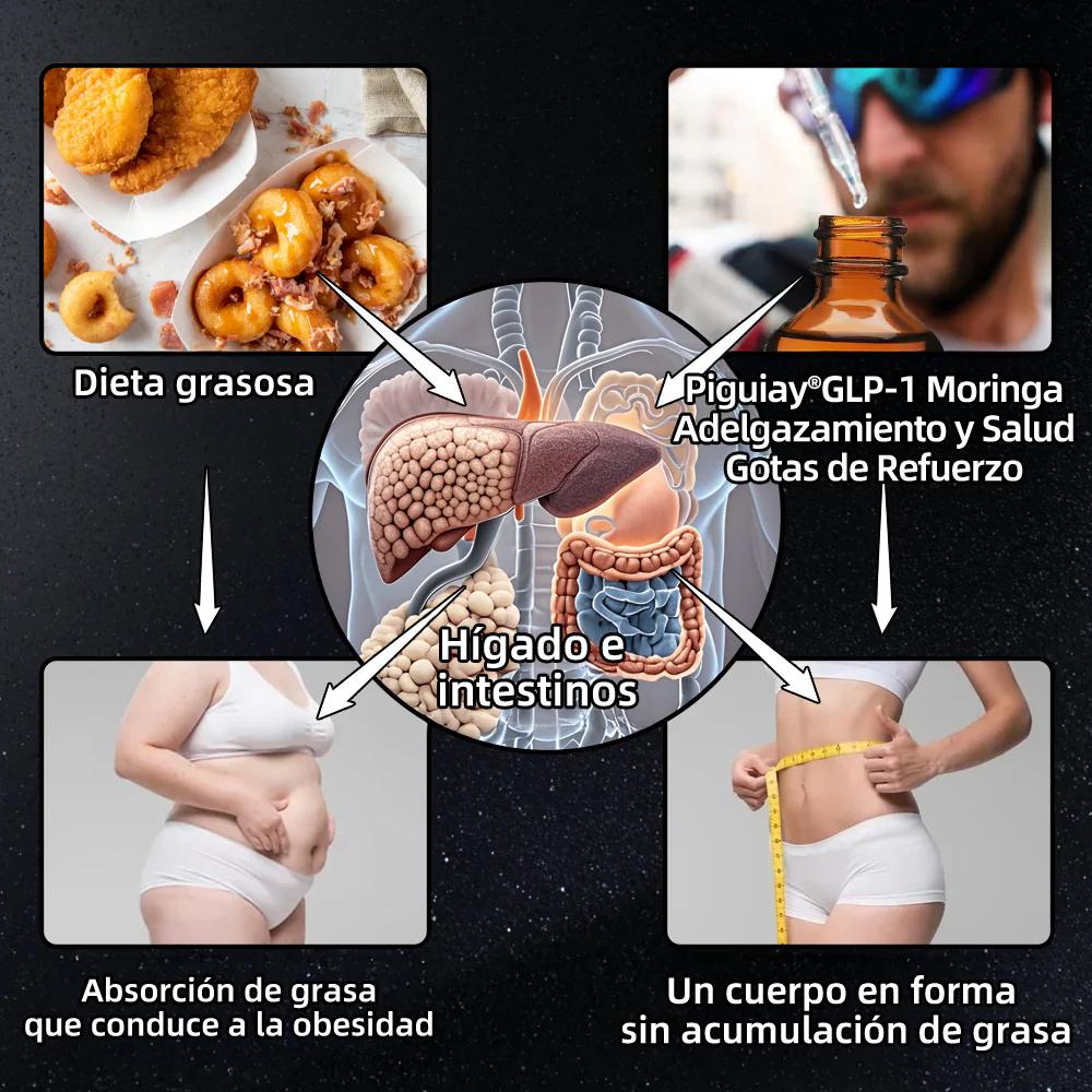 Piguiay® GLP-1 Gotas saludables adelgazantes de Moringa (Quemador de grasa de grado alimenticio – Desarrollado por expertos en secretología y metabolismo)