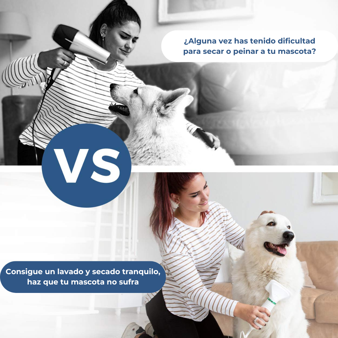 🐶 NUEVO SECADOR Y PEINADOR 2 EN 1 PARA MASCOTAS  + REGALO🎁: Cepillo Removedor de Pelo Profesional 🐾✨