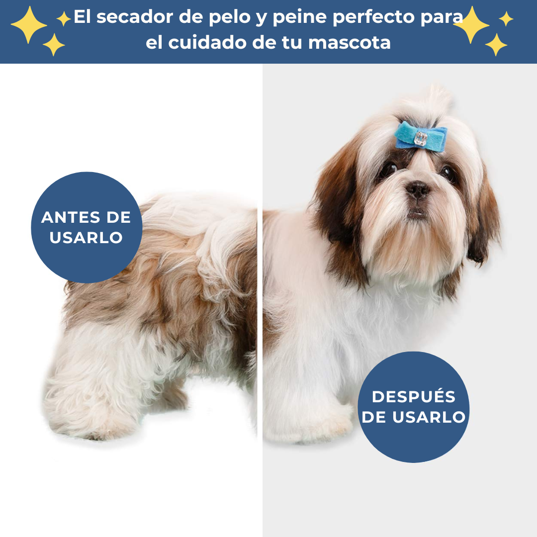 🐶 NUEVO SECADOR Y PEINADOR 2 EN 1 PARA MASCOTAS  + REGALO🎁: Cepillo Removedor de Pelo Profesional 🐾✨
