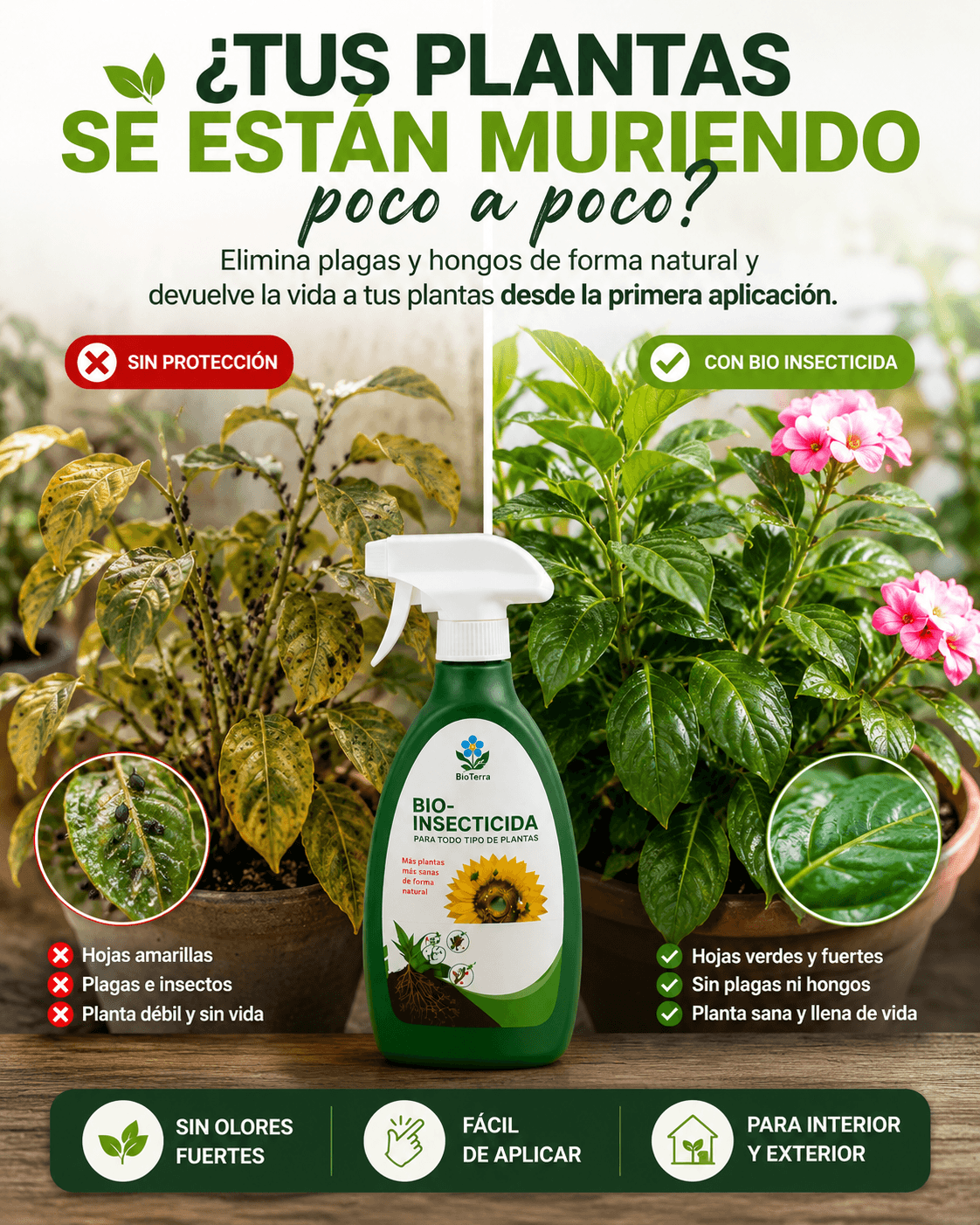 Bio Insecticida Para Plantas